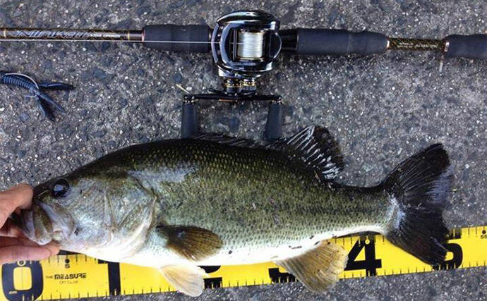 バスロッドの【ダブルフットガイドとシングルフットガイドの違いと使い分け方】