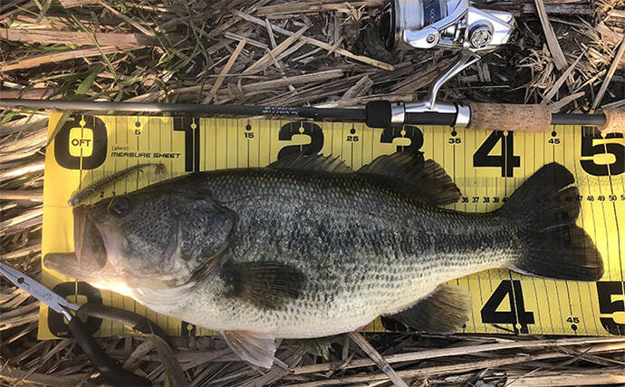 バスロッドの【ダブルフットガイドとシングルフットガイドの違いと使い分け方】