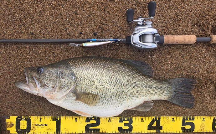 バスロッドの【ダブルフットガイドとシングルフットガイドの違いと使い分け方】