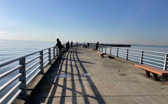 「数年ぶりにヒイカ回遊！」検見川浜突堤のエギングで本命6尾キャッチ【千葉】