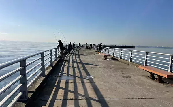 「「数年ぶりにヒイカ回遊！」検見川浜突堤のエギングで本命6尾キャッチ【千葉】」の画像