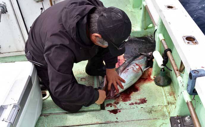 【これから始めるトンジギ入門】タックル選びから誘い・取り込みまで基礎を徹底ガイド