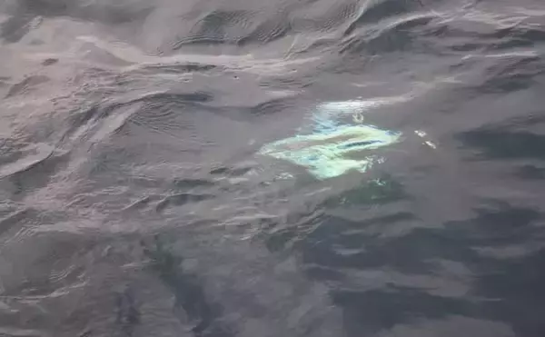 「【これから始めるトンジギ入門】タックル選びから誘い・取り込みまで基礎を徹底ガイド」の画像