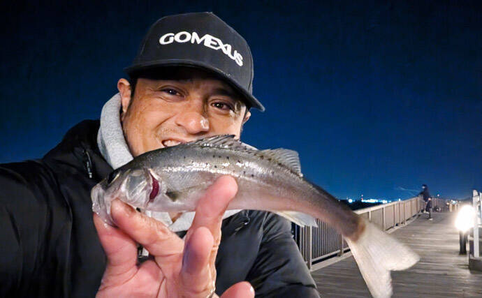 セイゴ好反応の電気ウキ釣りを家族で満喫【愛知・碧南ボードウォーク】ハリサイズ調整が奏功