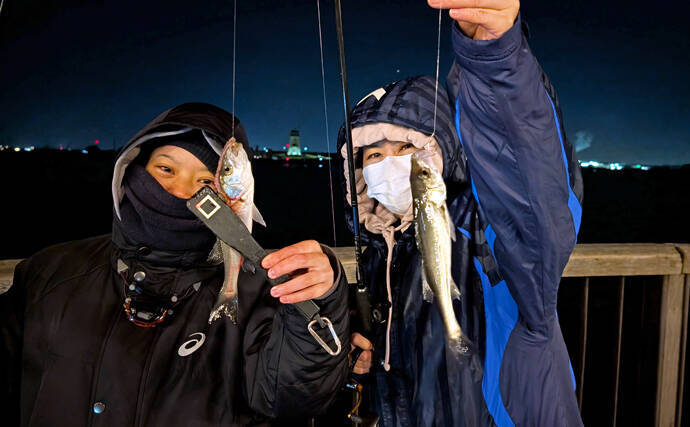 セイゴ好反応の電気ウキ釣りを家族で満喫【愛知・碧南ボードウォーク】ハリサイズ調整が奏功