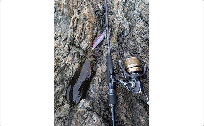 磯でのエギング＆フカセ釣りを堪能【大分・米水津】アオリにグレに大型カワハギでお土産十分