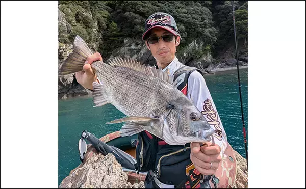 「磯でのエギング＆フカセ釣りを堪能【大分・米水津】アオリにグレに大型カワハギでお土産十分」の画像