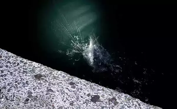 「「季節変わると釣り方変わる？」陸っぱりチニングのシーズンごとのパターンを解説」の画像