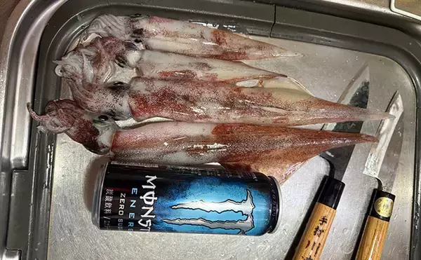 アジングタックルひとつでアジング＆エギング成立！　両本命をキャッチ