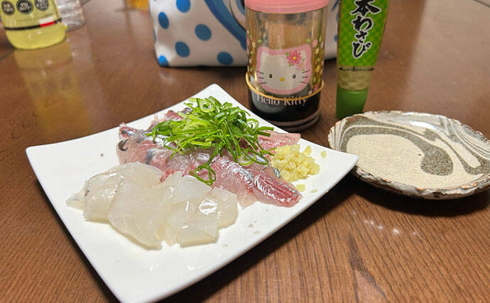 アジングタックルひとつでアジング＆エギング成立！　両本命をキャッチ