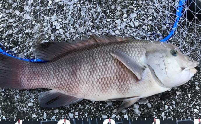 釣果写真がワンランクアップ　魚を美しく撮影する簡単テクニック3選を解説
