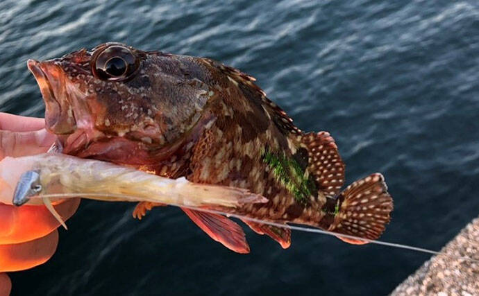釣果写真がワンランクアップ　魚を美しく撮影する簡単テクニック3選を解説
