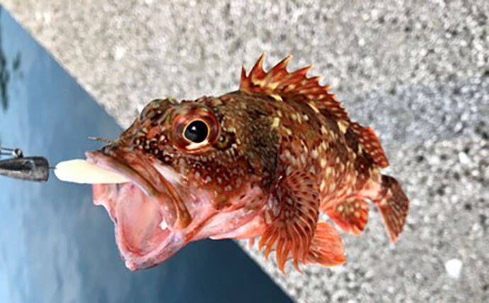 釣果写真がワンランクアップ　魚を美しく撮影する簡単テクニック3選を解説