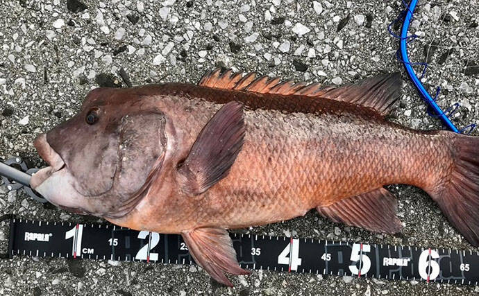 釣果写真がワンランクアップ　魚を美しく撮影する簡単テクニック3選を解説
