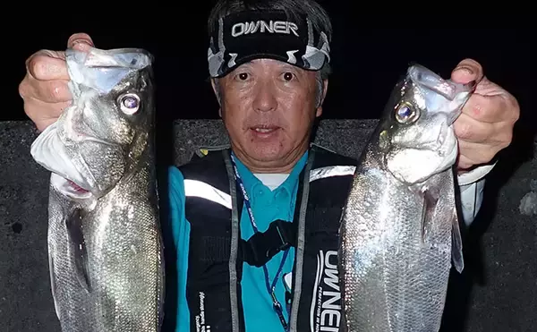 三角港の電気ウキ釣りでヒラスズキにマルスズキが好反応【熊本】今年は魚影が濃い！
