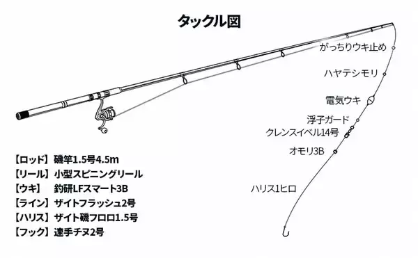「三角港の電気ウキ釣りでヒラスズキにマルスズキが好反応【熊本】今年は魚影が濃い！」の画像