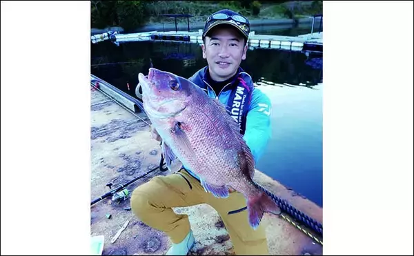 「天然魚も養殖魚も狙える海上釣り堀で5kg超えマダイ登場【三重・佐助屋】」の画像