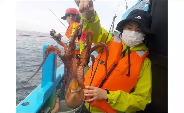 「東京湾の船エギダコ釣りで釣る人マダコ6尾キャッチ【神奈川・一之瀬丸】」の画像
