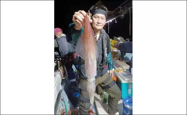 「【夜焚きイカ釣果速報】イカメタルでも100尾オーバーと絶好調（福岡）」の画像