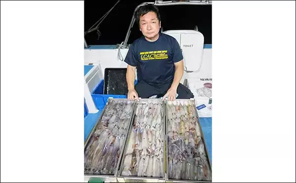 「【夜焚きイカ釣果速報】イカメタルでも100尾オーバーと絶好調（福岡）」の画像