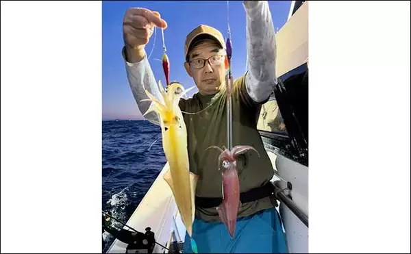 「【夜焚きイカ釣果速報】イカメタルでも100尾オーバーと絶好調（福岡）」の画像
