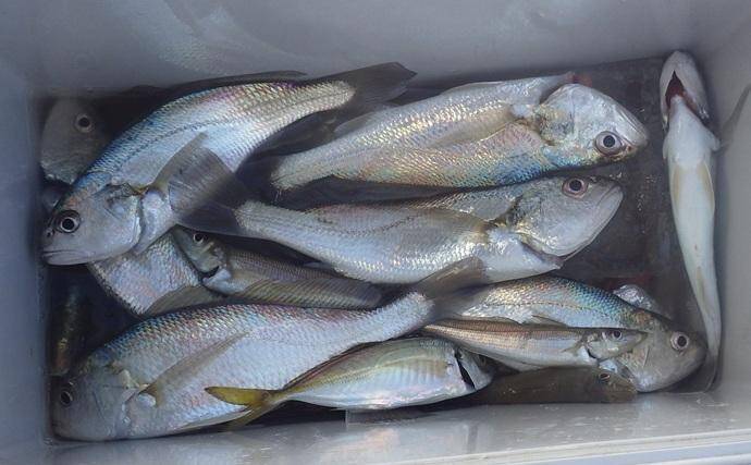 東京湾・船イシモチ釣りで本命19匹【神奈川・鴨下丸】ゲストのシロギスに苦戦？