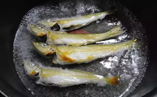 「東京湾・船イシモチ釣りで本命19匹【神奈川・鴨下丸】ゲストのシロギスに苦戦？」の画像