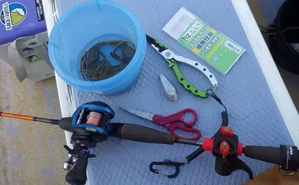 「東京湾・船イシモチ釣りで本命19匹【神奈川・鴨下丸】ゲストのシロギスに苦戦？」の画像