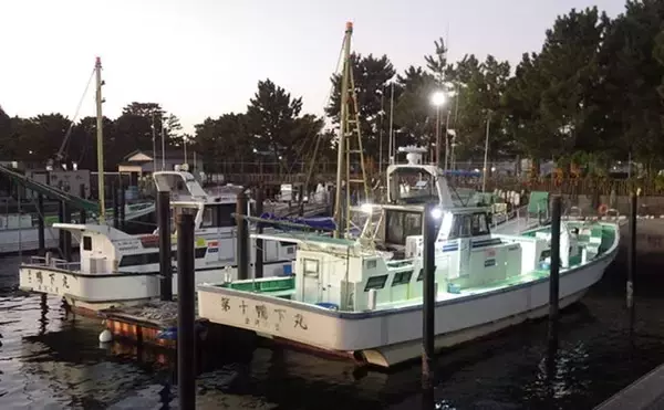 「東京湾・船イシモチ釣りで本命19匹【神奈川・鴨下丸】ゲストのシロギスに苦戦？」の画像