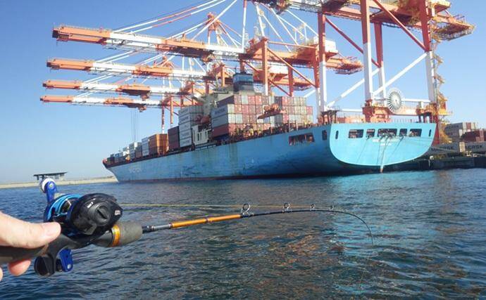 東京湾・船イシモチ釣りで本命19匹【神奈川・鴨下丸】ゲストのシロギスに苦戦？