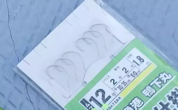 「東京湾・船イシモチ釣りで本命19匹【神奈川・鴨下丸】ゲストのシロギスに苦戦？」の画像