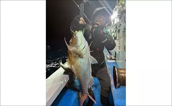 「【沖釣り釣果速報】若狭沖のジギングでメタボサワラ浮上！ヒラマサ＆シーバスも交じり好気配（北陸）」の画像