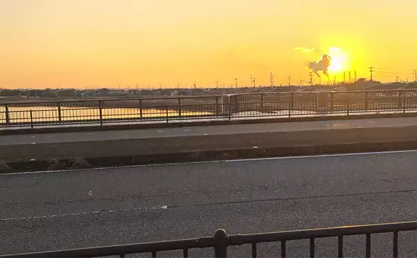 「待望のバチ抜けがスタートも釣れない謎【千葉・養老川】時合いも短時間で終了」の画像