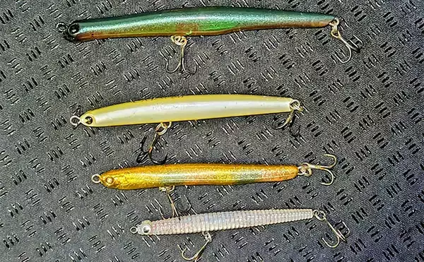 「待望のバチ抜けがスタートも釣れない謎【千葉・養老川】時合いも短時間で終了」の画像