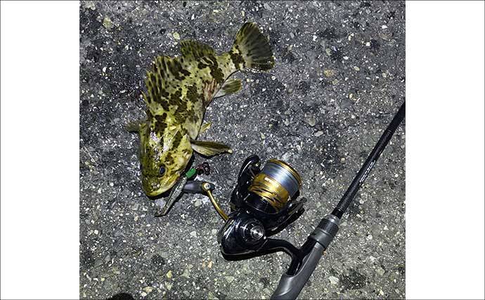 ネット通販で新品リールを買ったら【釣りに行く前に確認すべきこと】