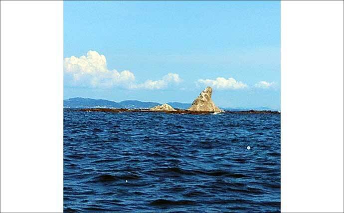 相模湾「LTヒラメ釣り」でレアな高級魚『ホウキハタ』が浮上【まごうの丸】