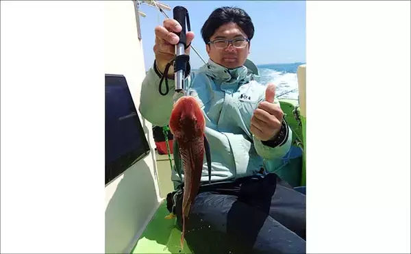 「相模湾「LTヒラメ釣り」でレアな高級魚『ホウキハタ』が浮上【まごうの丸】」の画像