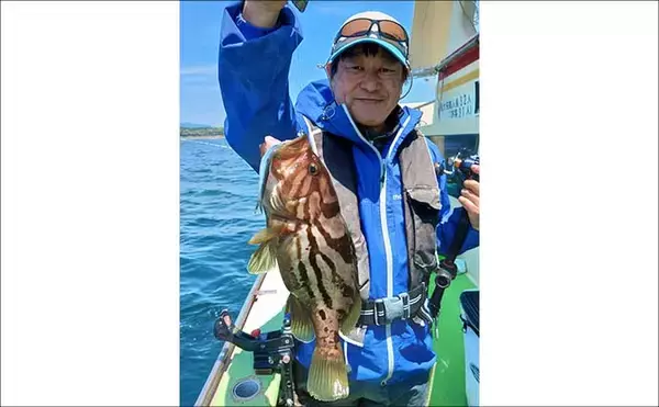「相模湾「LTヒラメ釣り」でレアな高級魚『ホウキハタ』が浮上【まごうの丸】」の画像