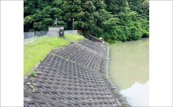 今週のヘラブナ「ピックアップ」釣り場2026【静岡・西の谷池】