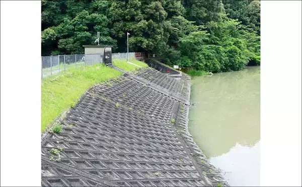 「今週のヘラブナ「ピックアップ」釣り場2026【静岡・西の谷池】」の画像