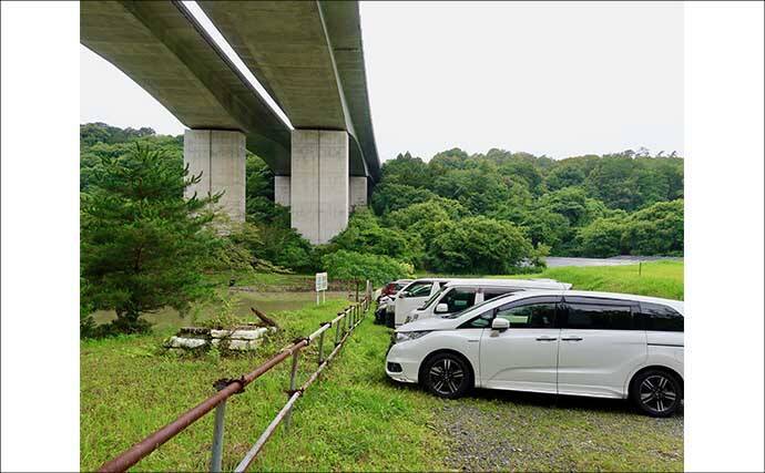 今週のヘラブナ「ピックアップ」釣り場2026【静岡・西の谷池】