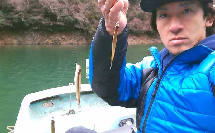 津久井湖ワカサギ釣りで船宿レコード達成【沼本ボート】1234尾4830g爆釣