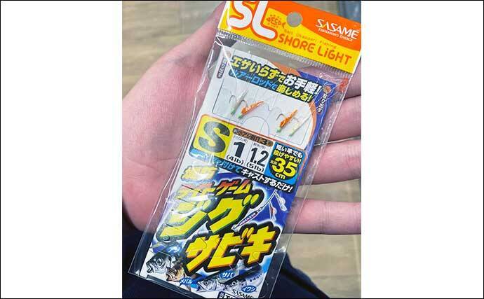 2～5gのメタルジグとセットで使用する【ジグサビキ仕掛け活用のススメ】
