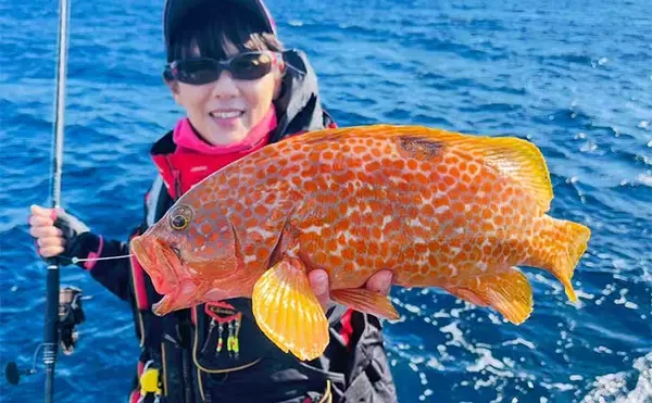 「大分南部の沖磯でアカハタにキジハタにカサゴとロックフィッシュが好反応！【ふかしま丸】」の画像