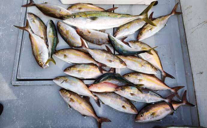 【船のエサ釣り釣果速報】コマセ釣りで良型イサキにシマアジに美味魚続々！（三重）