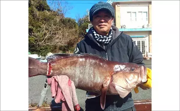 「【船のエサ釣り釣果速報】コマセ釣りで良型イサキにシマアジに美味魚続々！（三重）」の画像