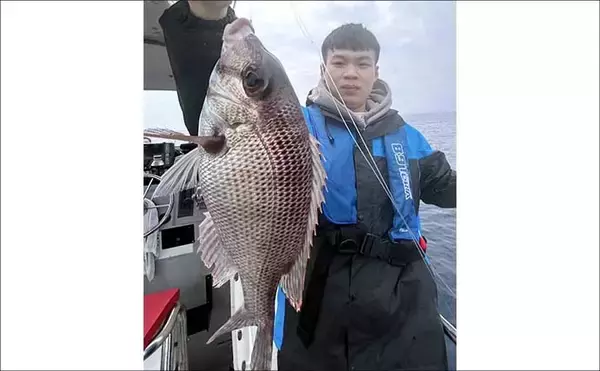 「【船のエサ釣り釣果速報】コマセ釣りで良型イサキにシマアジに美味魚続々！（三重）」の画像