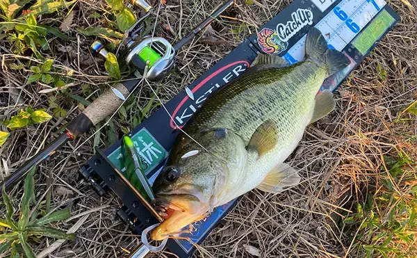 「釣り場でとく見かけるけど意味あるの？」 ベイトリールをロングハンドル化する長所＆短所