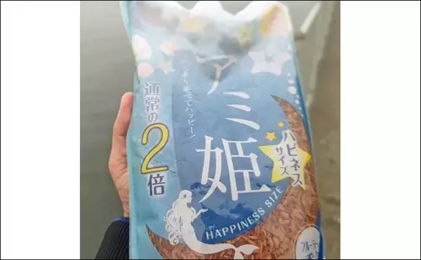 「木更津港のサビキ釣りでラスト1時間にアジ回遊！【千葉】悪天候を耐えて本命4尾確保」の画像