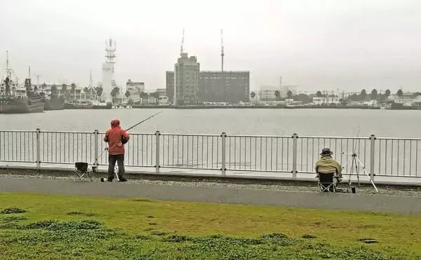 「木更津港のサビキ釣りでラスト1時間にアジ回遊！【千葉】悪天候を耐えて本命4尾確保」の画像